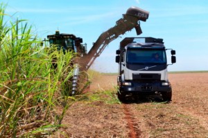 Autonomní nákladní vozidlo Volvo je připraveno zvýšit úrodu cukrové třtiny v Brazílii / Foto zdroj: © Volvo Truck Corporation