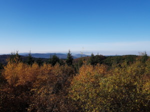 Domažlicko: O cyklobus na Čerchov byl rekordní zájem / Foto zdroj: ARRIVA STŘEDNÍ ČECHY s.r.o.